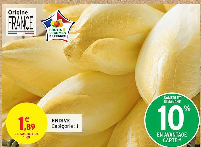 ENDIVE