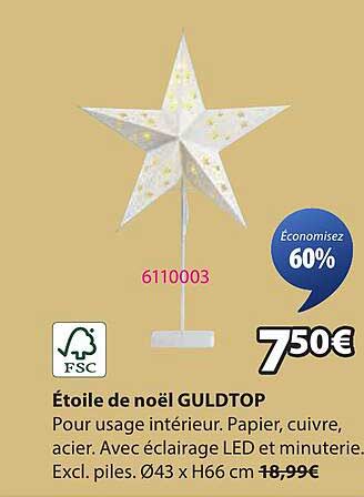 Étoile de Noël GULDTOP