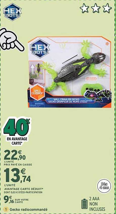 Gecko grimpeur de murs