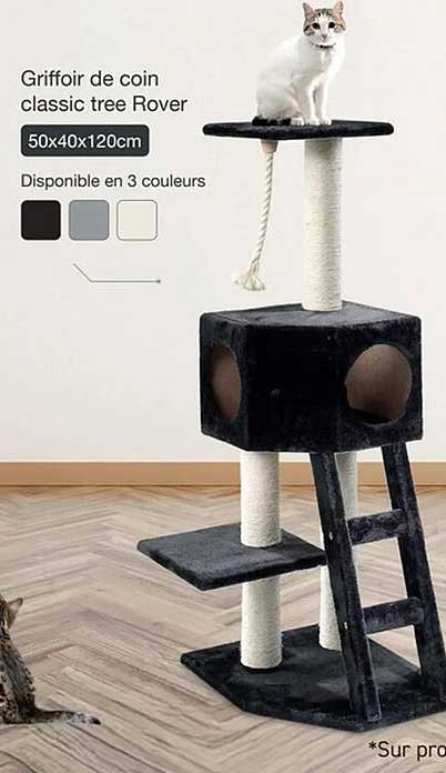 Griffoir de coin classic tree Rover