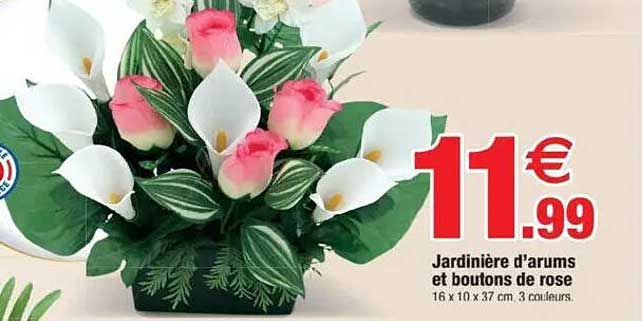 Jardinère d'arums et boutons de rose