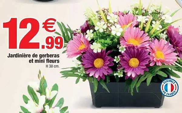 Jardinière de gerberas et mini fleurs
