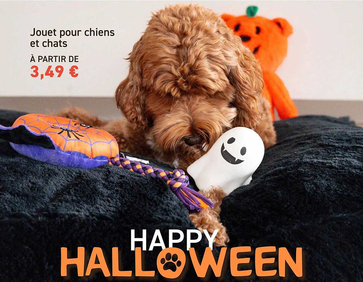 Jouet pour chiens et chats