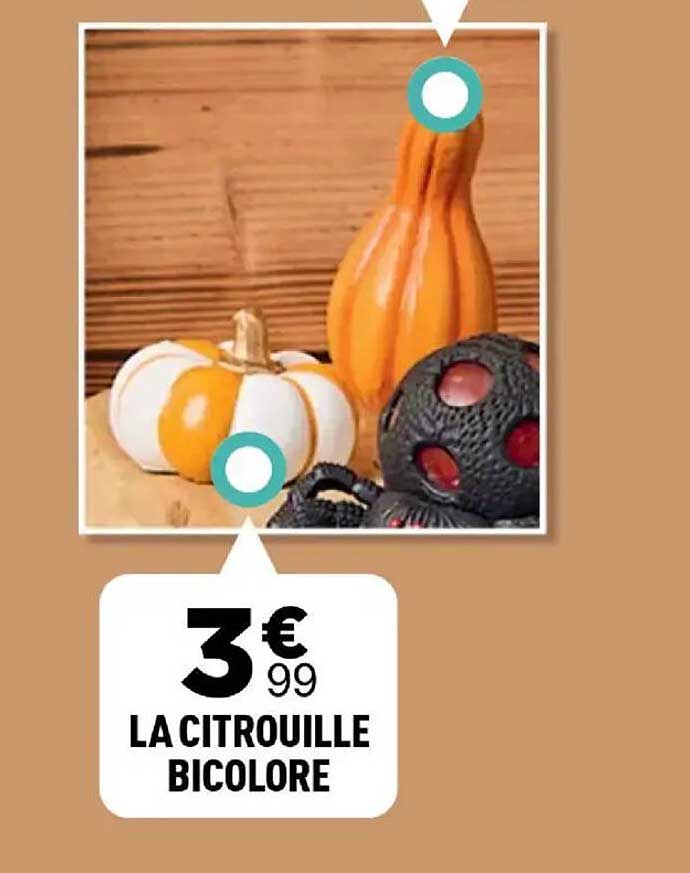 LA CITROUILLE BICOLORE