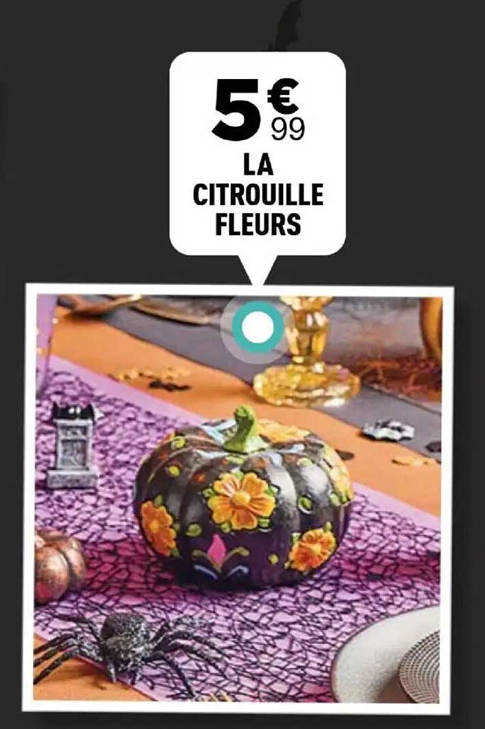 LA CITROUILLE FLEURS
