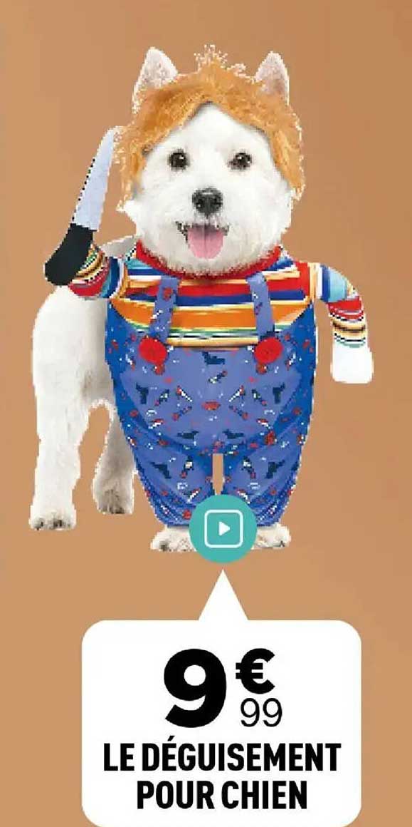 LE DÉGUISMENT POUR CHIEN