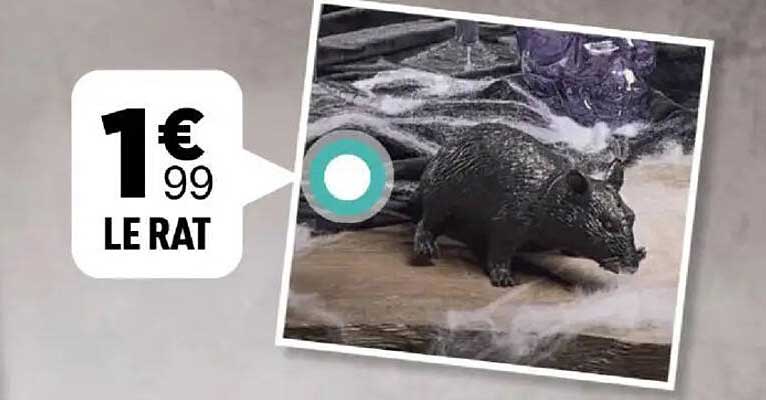 LE RAT