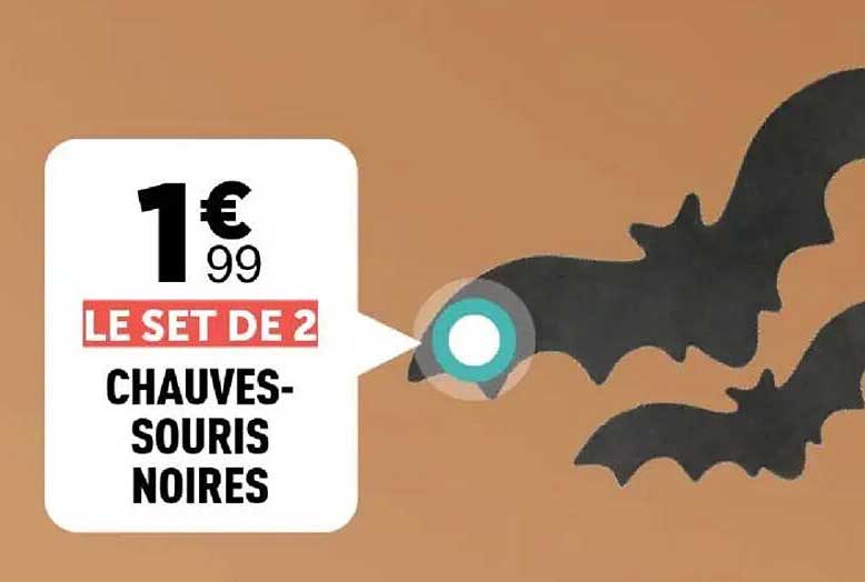 Le set de 2 chauves-souris noires