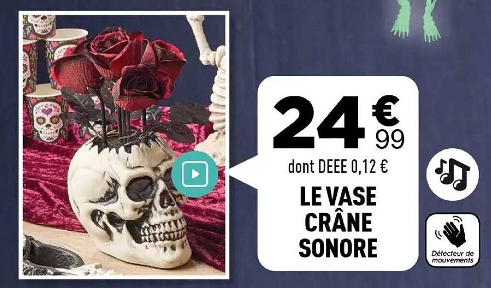 LE VASE CRÂNE SONORE
