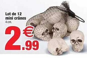 Lot de 12 mini crânes
