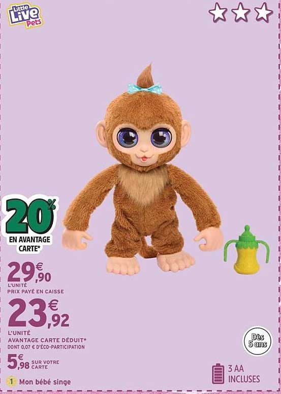 Mon bébé singe