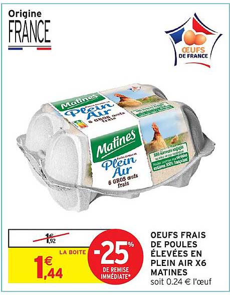 OEufs frais de poules élevées en plein air X6 Matines