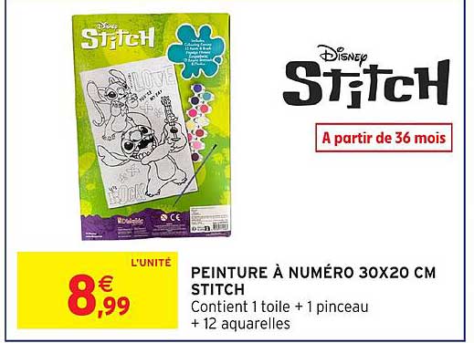 PEINTURE À NUMÉRO 30X20 CM STITCH