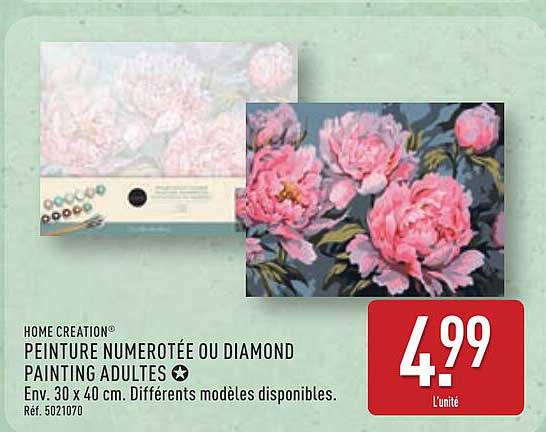PEINTURE NUMÉROTÉE OU DIAMOND PAINTING ADULTES