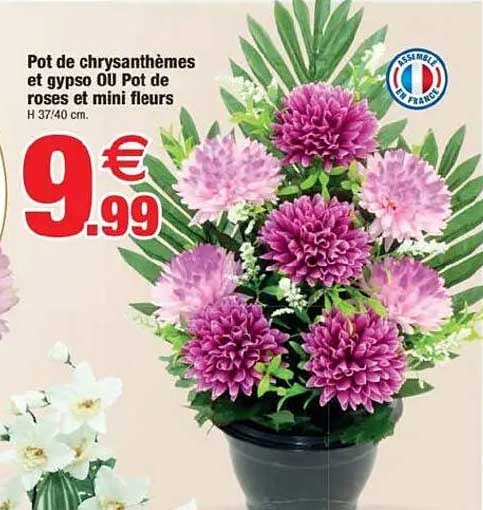 Pot de chrysanthèmes et gyspo OU Pot de roses et mini fleurs
