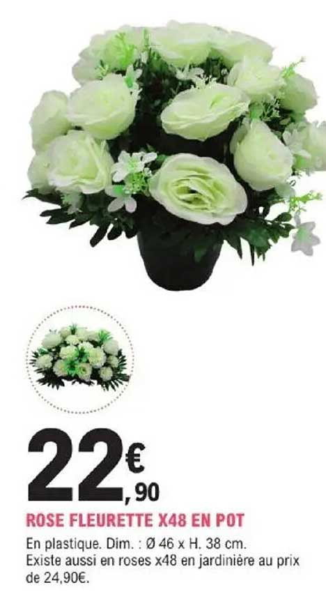 ROSE FLEURETTE X48 EN POT