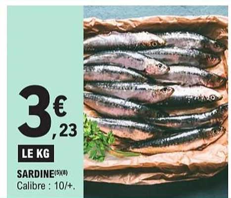SARDINE (5/8) Calibre : 10/+.