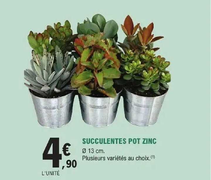 SUCCULENTES POT ZINC