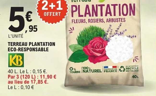 TERRAEAU PLANTATION FLEURS, ROSIERS, ARBUSTES