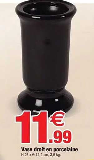 Vase droit en porcelaine