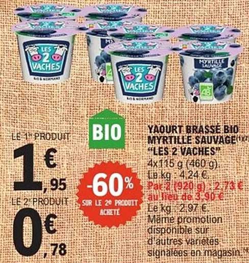 Yaourt Brassé Bio Myrtille Sauvage "Les 2 Vaches"
