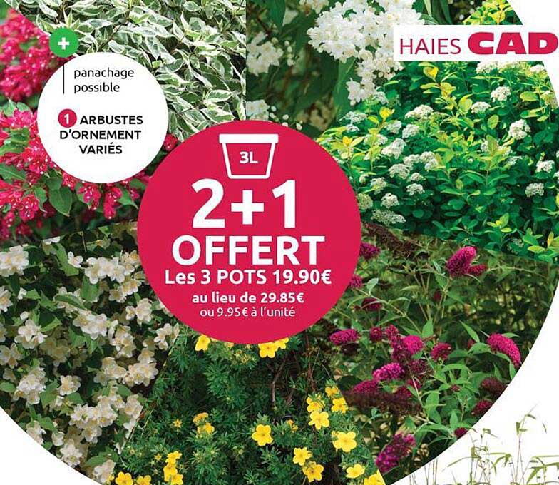 2+1 OFFERT
