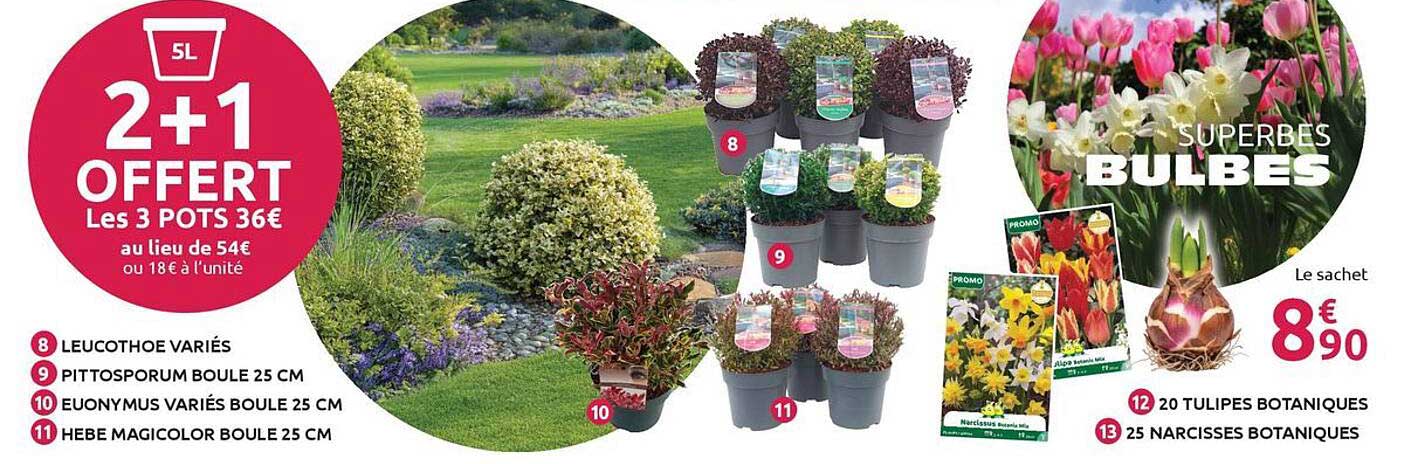 2+1 OFFERT Les 3 POTS 36€ au lieu de 54€ ou 18€ à l'unité