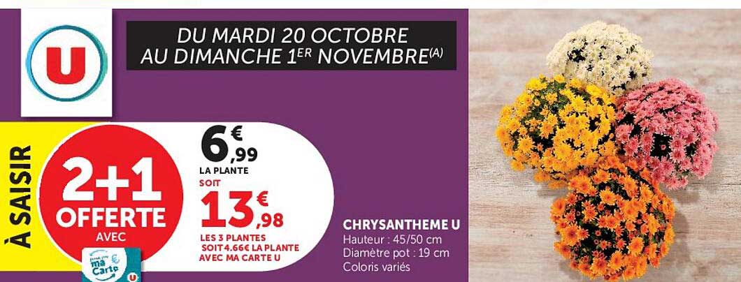2+1 OFFERTE