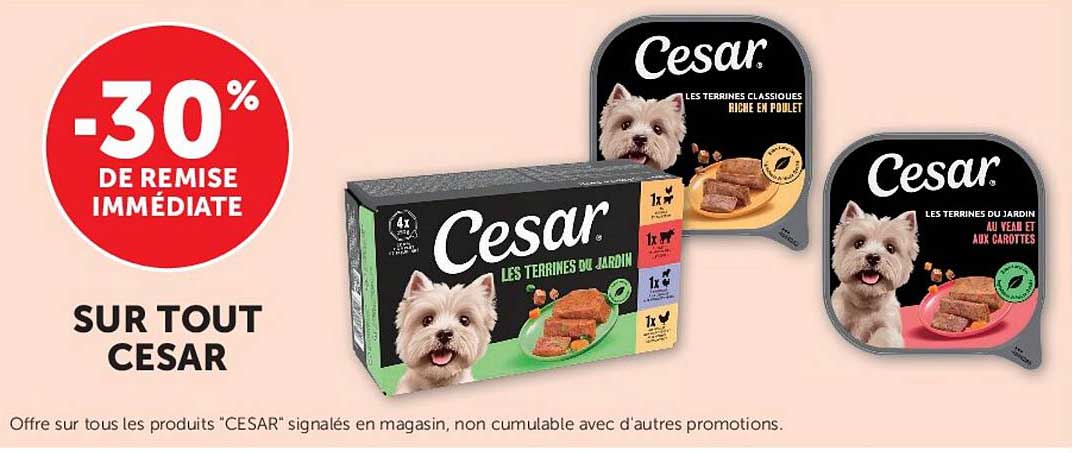 -30% DE REMISE IMMÉDIATE SUR TOUT CESAR