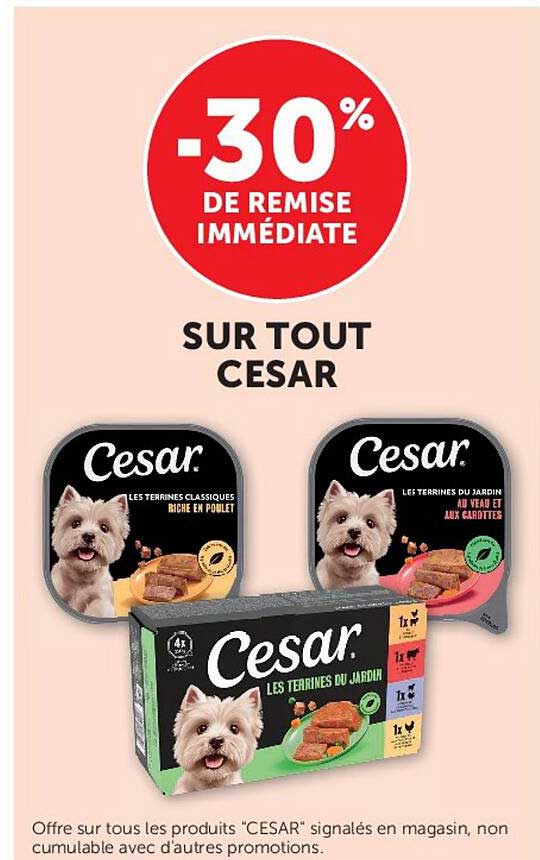 -30% de remise immédiate sur tout Cesar