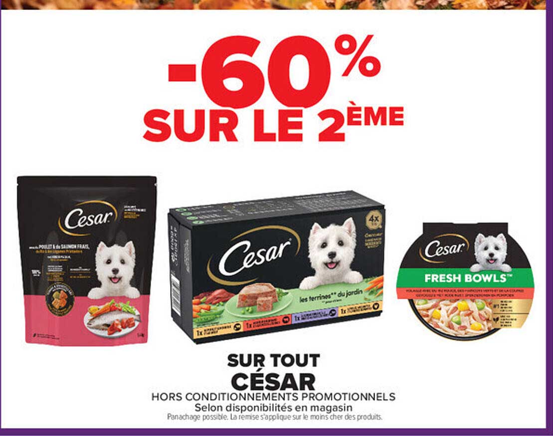 -60% SUR LE 2ÈME