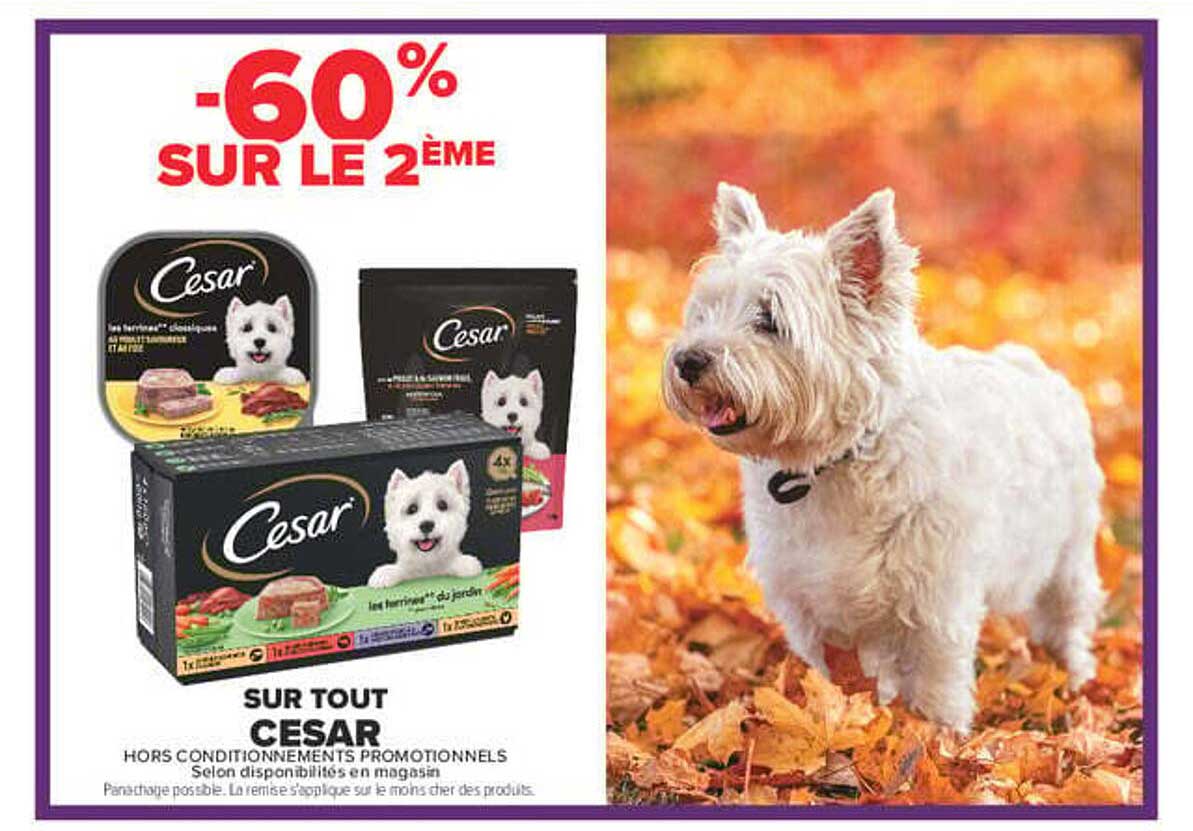 -60% SUR LE 2ÈME
