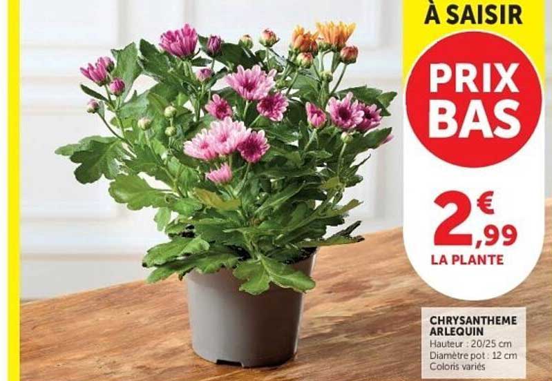 À SAISIR PRIX BAS