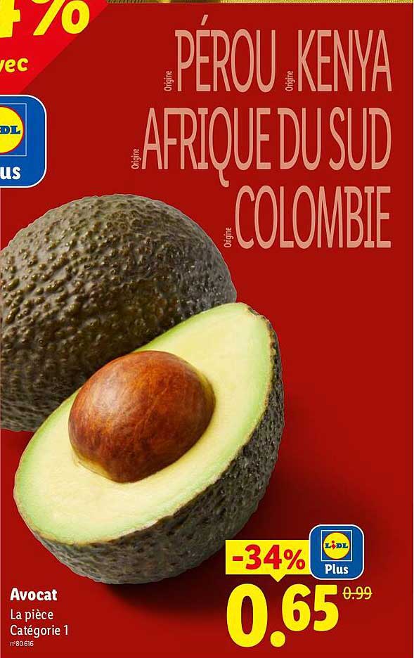 Avocat