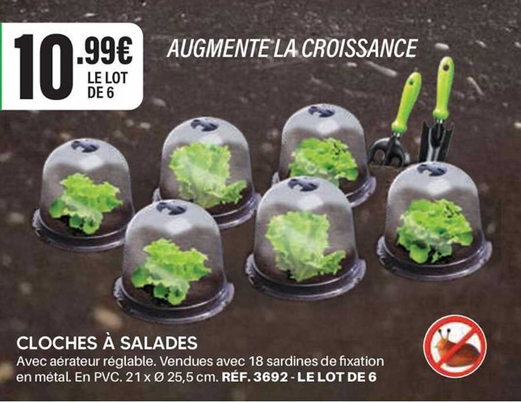 CLOCHES À SALADES