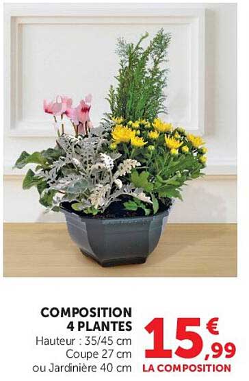 COMPOSITION 4 PLANTES