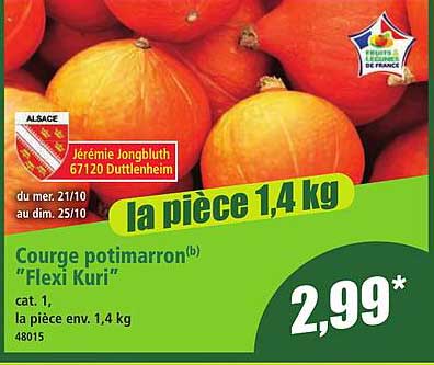 Courge potimarron "Flexi Kuri"
