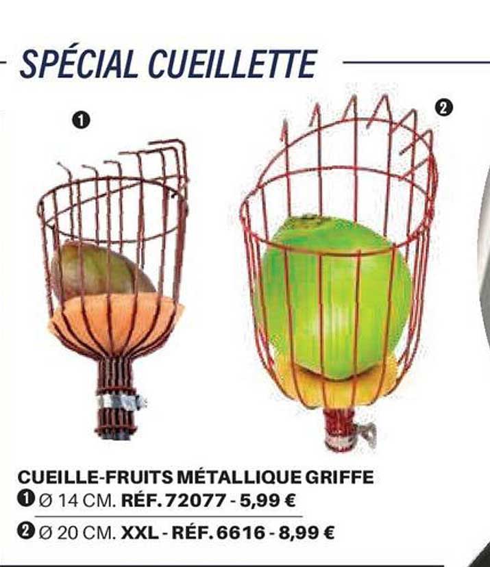 CUEILLE-FRUITS MÉTALLIQUE GRIFFE