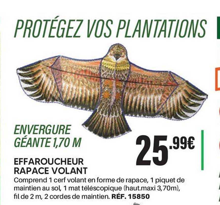 EFFAROUCHEUR RAPACE VOLANT