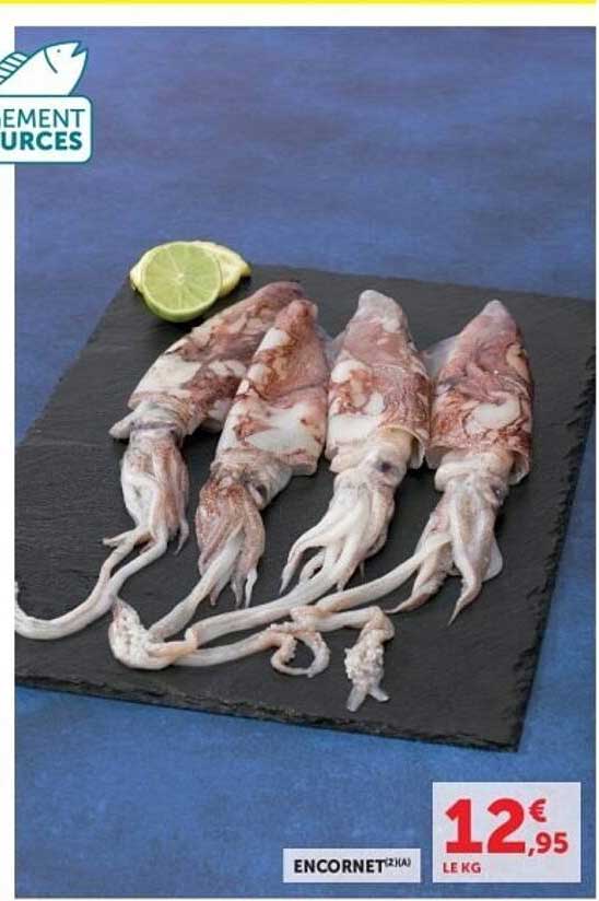 ENCORNET