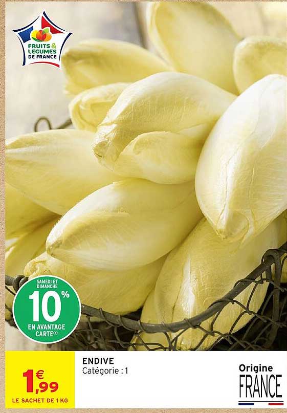 ENDIVE