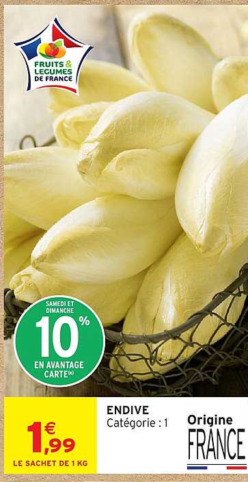 ENDIVE
