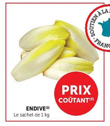 ENDIVE(3)