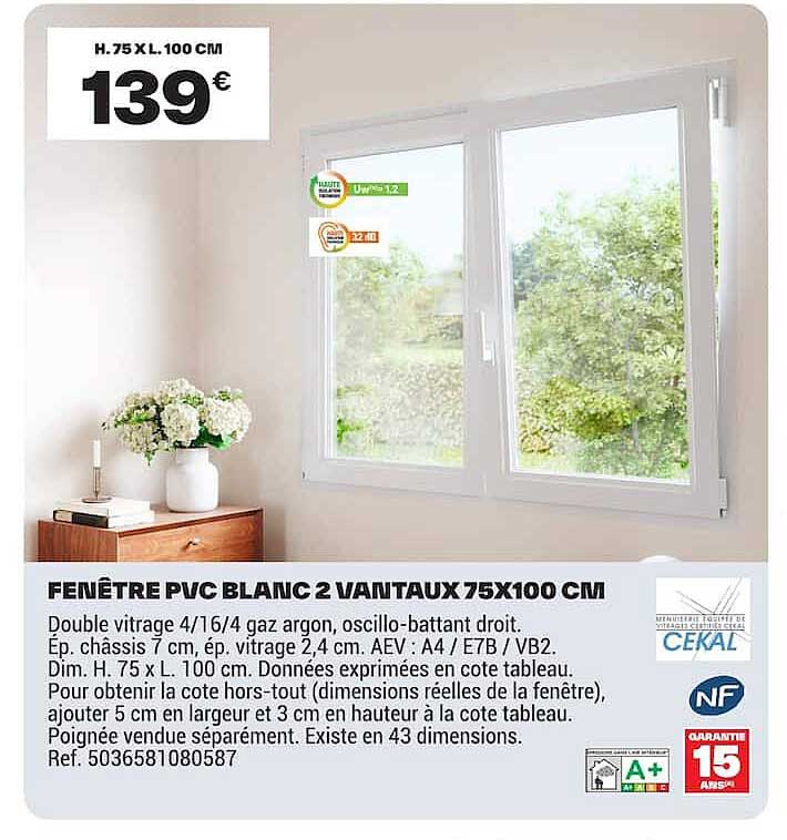 FENÊTRE PVC BLANC 2 VANTAUX 75X100 CM