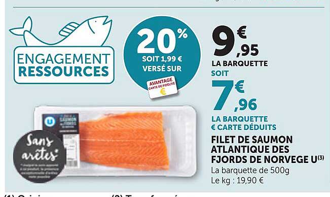 FILET DE SAUMON ATLANTIQUE DES FJORDS DE NORVÈGE U