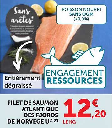 FILET DE SAUMON ATLANTIQUE DES FJORDS DE NORVEGE U3/C1