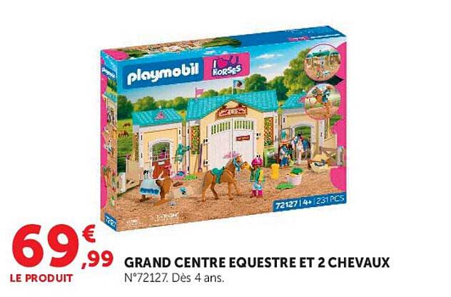 GRAND CENTRE EQUESTRE ET 2 CHEVAUX