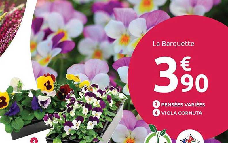 La Barquette