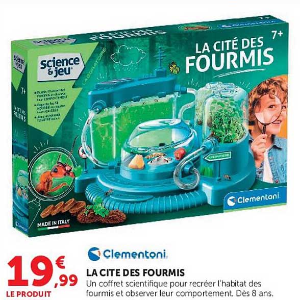 LA CITE DES FOURMIS