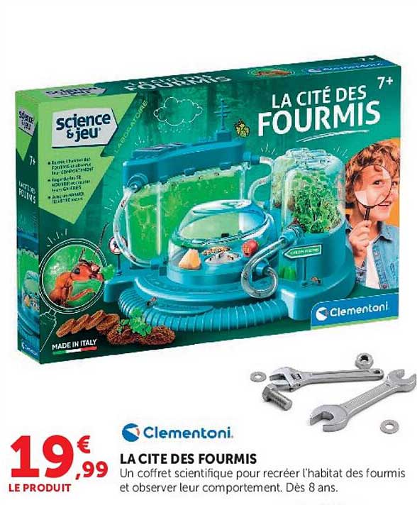 LA CITE DES FOURMIS